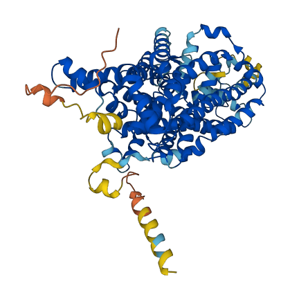 SLC6A6 3D structure