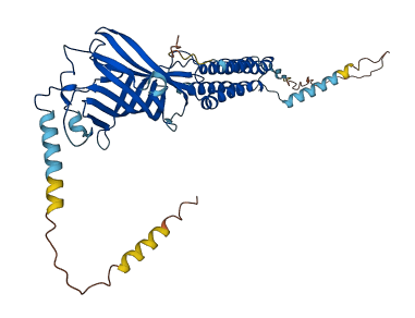 GABRA5 3D structure