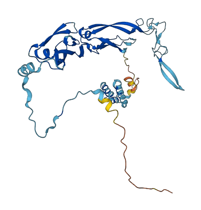 DNAJA1 3D structure