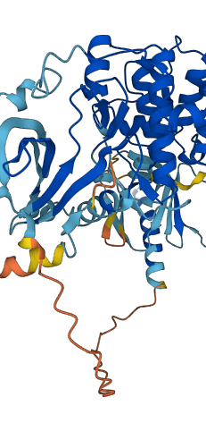 AKT2 3D structure