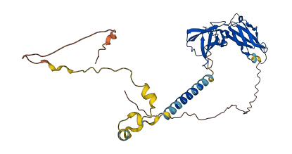 IL2RG 3D structure