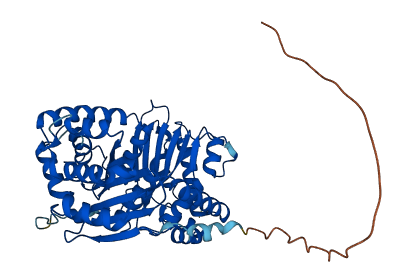 UQCRC1 3D structure