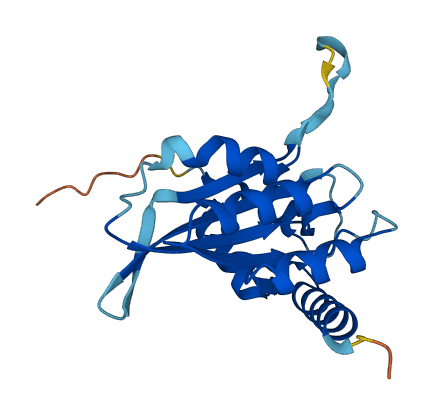 APOBEC3A 3D structure