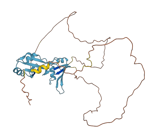 HNRNPH3 3D structure
