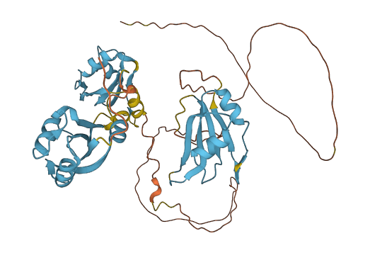HNRNPH1 3D structure