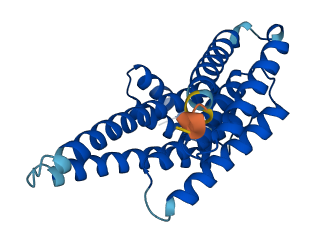 SFN 3D structure