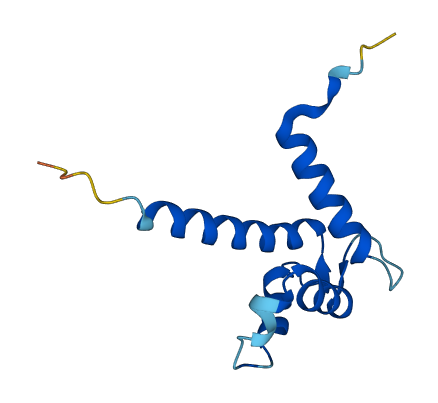 S100A11 3D structure