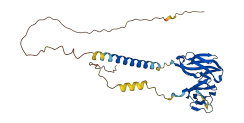 FCGR2C 3D structure
