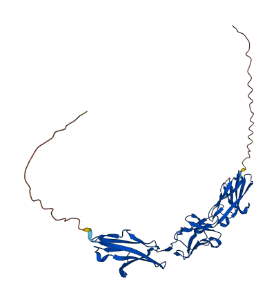 CEACAM8 3D structure