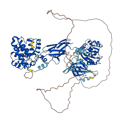 INPP5B 3D structure