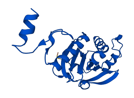 PRDX2 3D structure