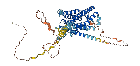 CCKBR 3D structure