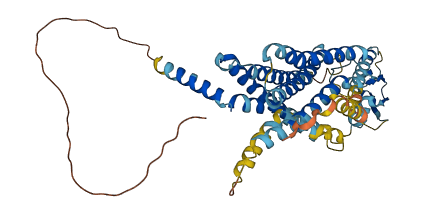 VIPR1 3D structure