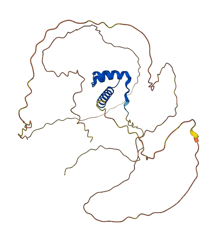 OTX1 3D structure