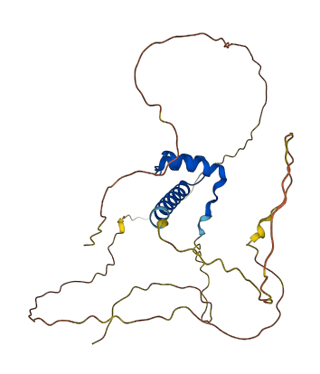 OTX2 3D structure