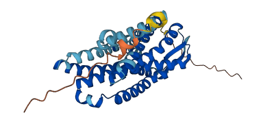 CCR1 3D structure