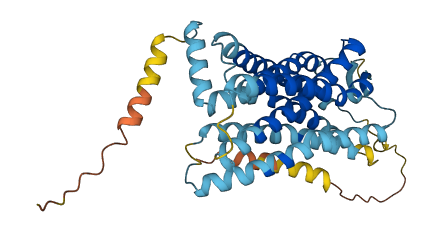 CCR7 3D structure
