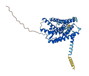 GPR183 3D structure