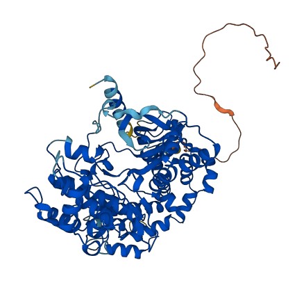 GRK4 3D structure