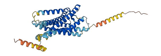 CXCR5 3D structure
