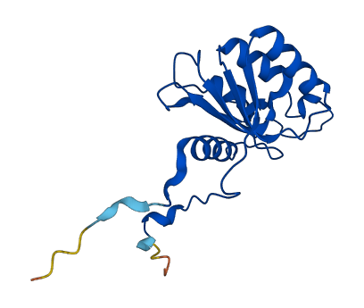 DCTD 3D structure