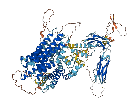 SLC8A1 3D structure