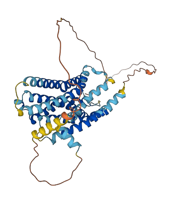 SSTR3 3D structure