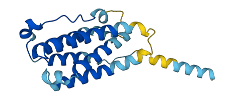 IFNA8 3D structure