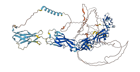DSG3 3D structure
