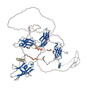 CSF2RB 3D structure