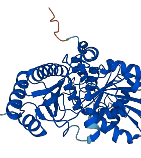 CTH 3D structure