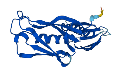 RPL9 3D structure