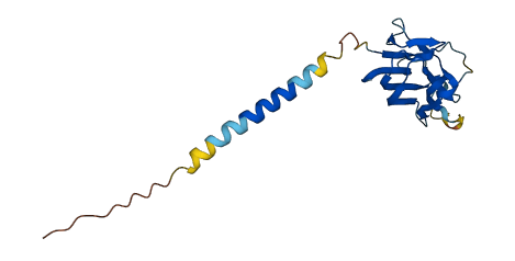 CD70 3D structure