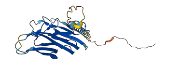 TNFSF8 3D structure