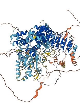 CIITA 3D structure