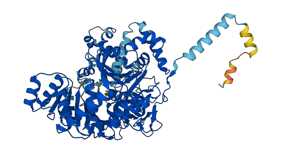 ACSL1 3D structure