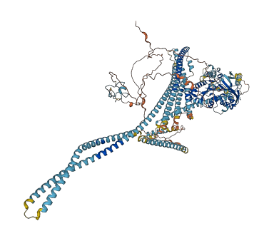 Kif4 3D structure