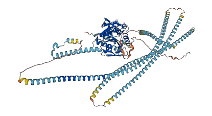 KIF5B 3D structure