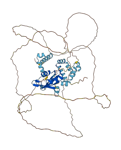 CSTF2 3D structure