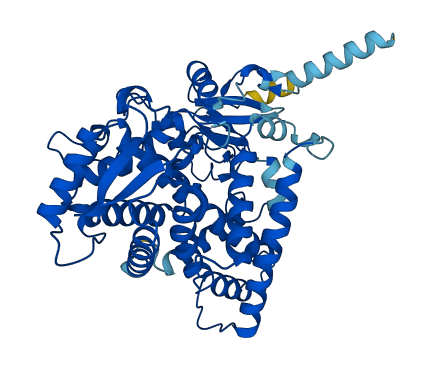 CYP2C18 3D structure