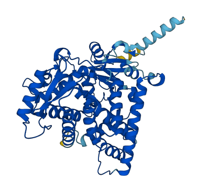 CYP2C19 3D structure