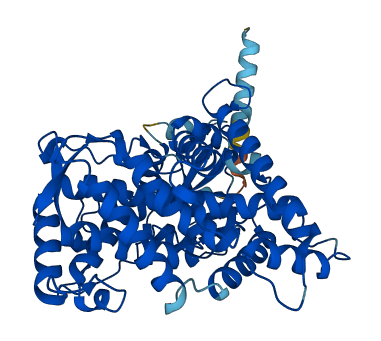 Cyp2f2 3D structure