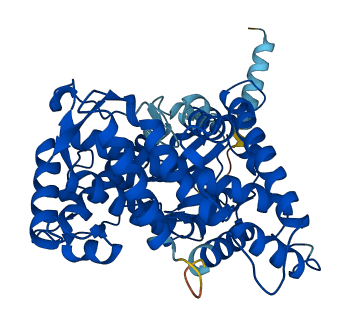 Cyp2b12 3D structure