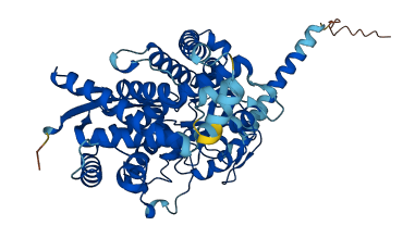 Cyp4f1 3D structure