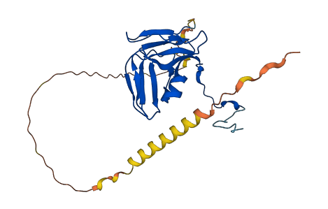 DUT 3D structure