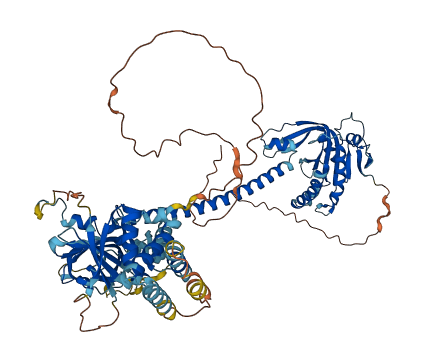 GUCY1A2 3D structure