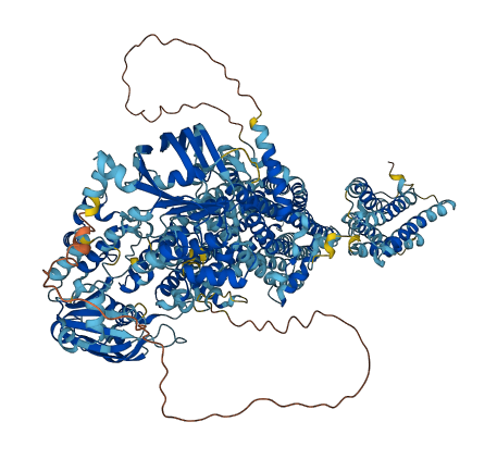 ABCC1 3D structure