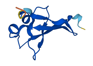 CKS2 3D structure