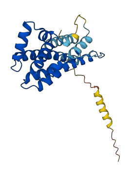 Prl8a5 3D structure