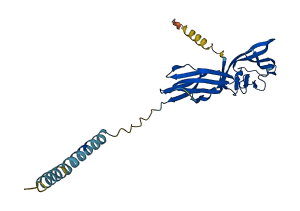 CD80 3D structure